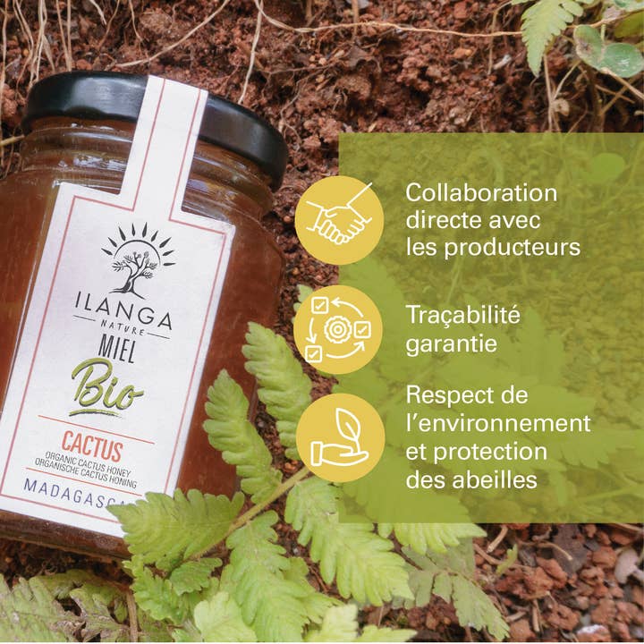 Ilanga Nature - Wholesale Honey - Cactus Honey 140g - BIO2