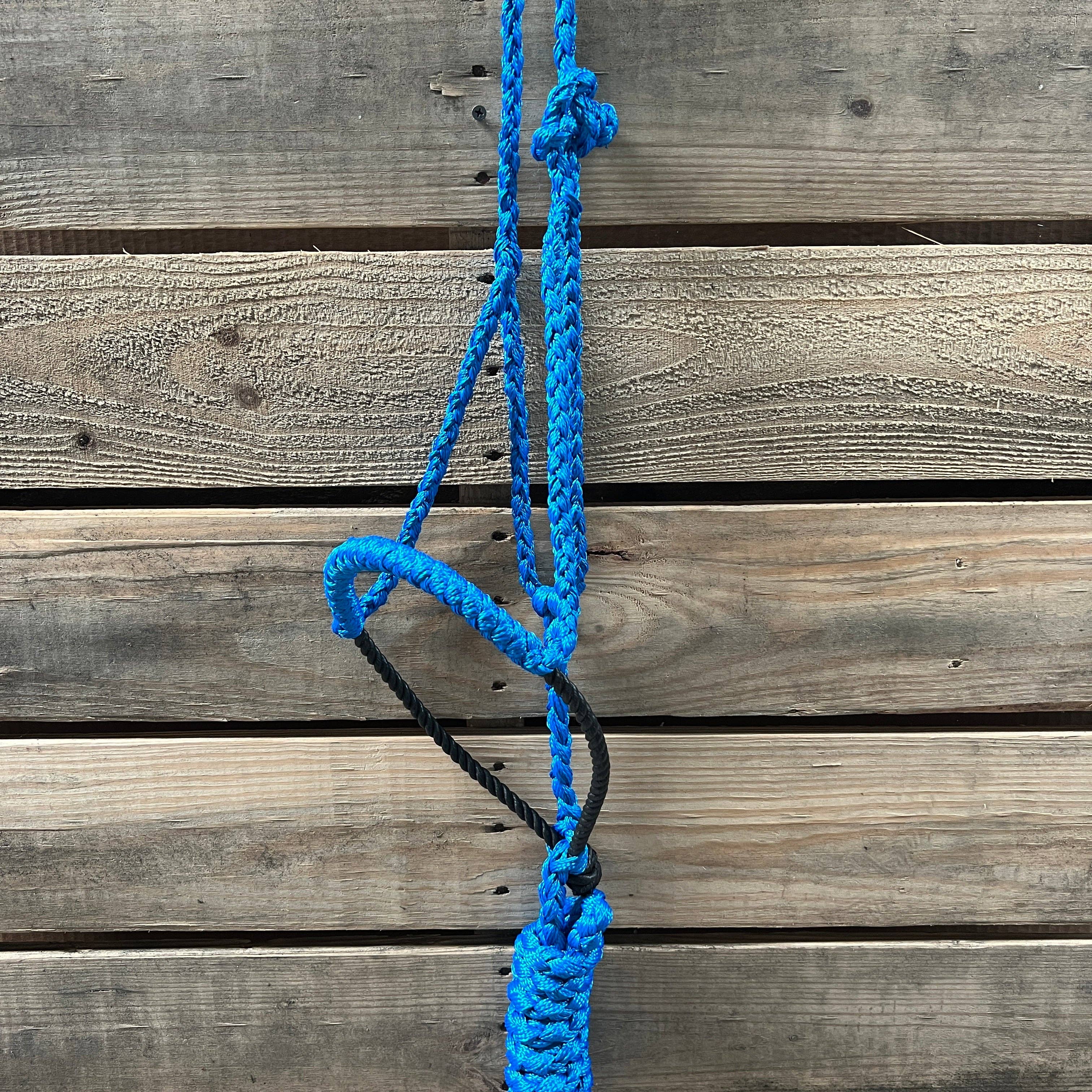 Rodeo Drive – Großhandel Reitausrüstung – Lariat Mule Tape Halfter, verschiedene Farben3