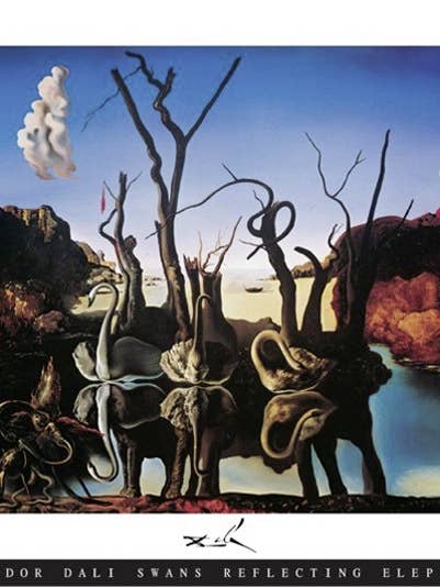 Salvador Dali Swans Reflecting Elephants 61 x 91 cm Poster for wholesale by Close Up GmbH
