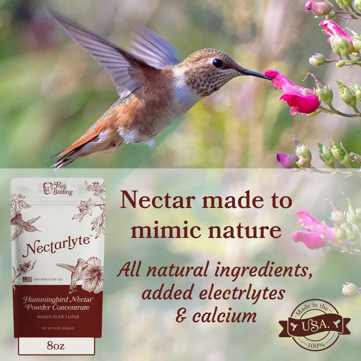 Pop's Birding – wholesale Bird feeder – Nectarlyte™ Hummingbird Nectar, Powder Concentrate 8oz1