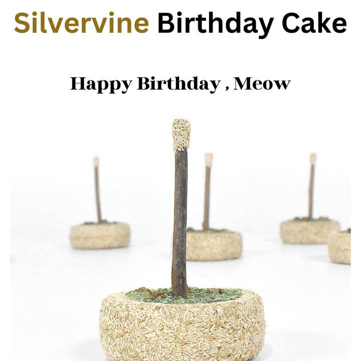 CATWANT - Wholesale Pet Toy - Cat - Silvervine Birthday Cake