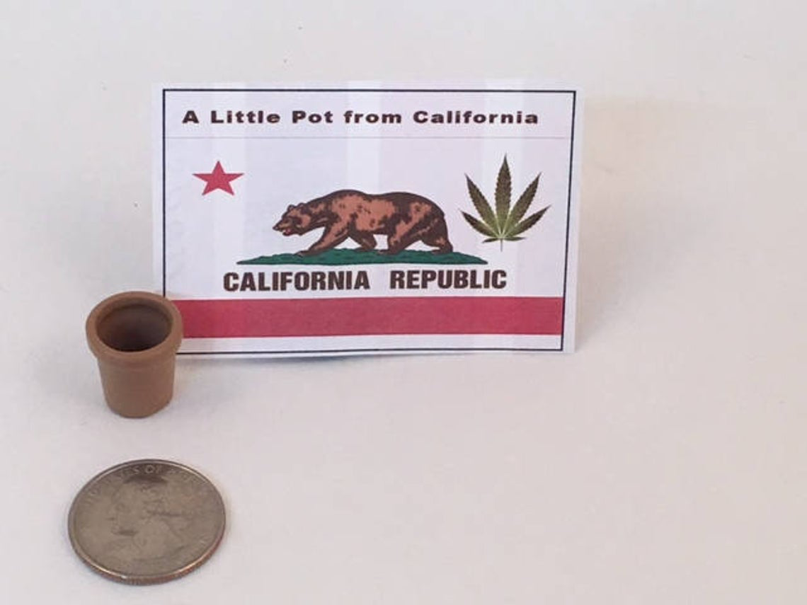 GP Originals - Wholesale Gag Gift/Novelty Gift - Little Pot from California Gag gift3