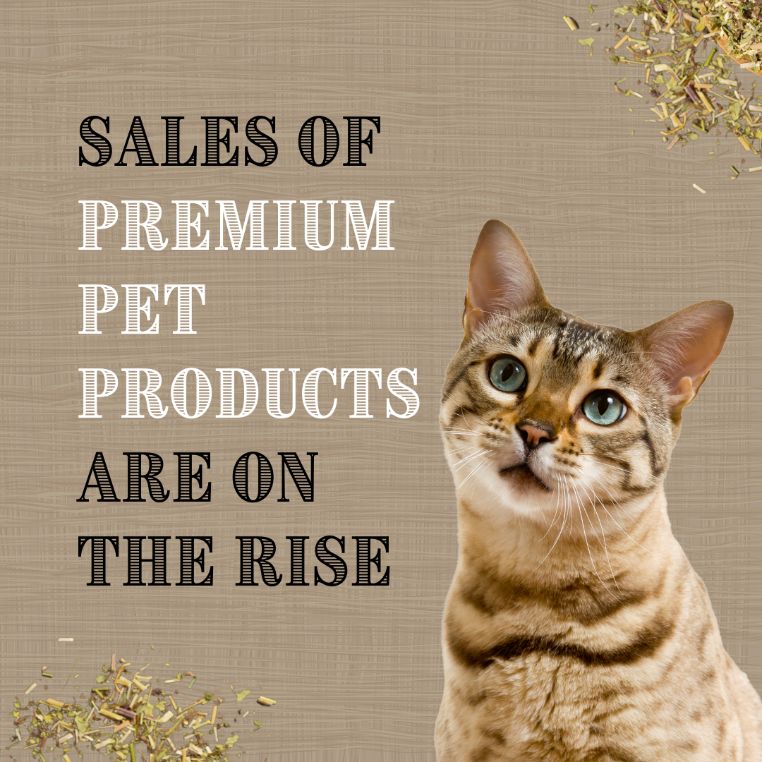 SHADY CAT SOCIAL CLUB – wholesale Leksak - Katt – Kattmynta Silver Vine Kicker Kattleksak | Kattpresent | Ny Utskrivbar2