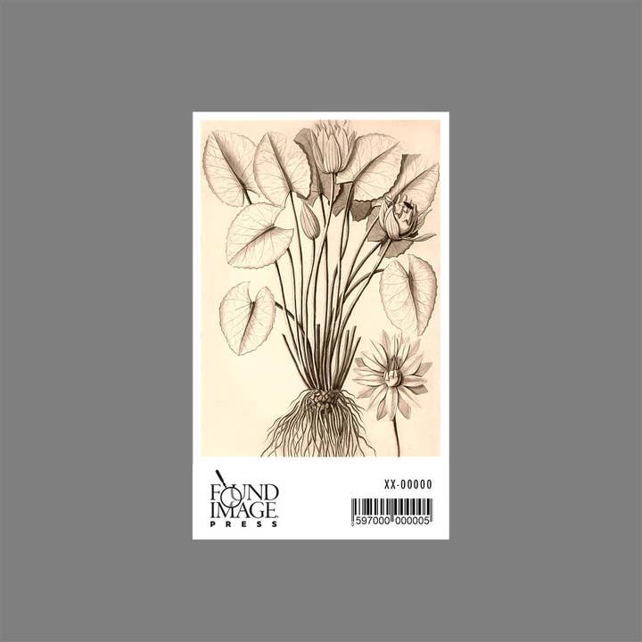 Found Image Press - Wholesale Sticker - Sticker FC-285 Waterlelie Tekening1