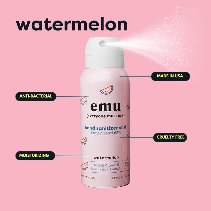 Closeouts Surplus & Salvage - Wholesale Hand Sanitizer - Watermelon Moisturizing Sanitizer Mist 2.2oz - 24 Pack