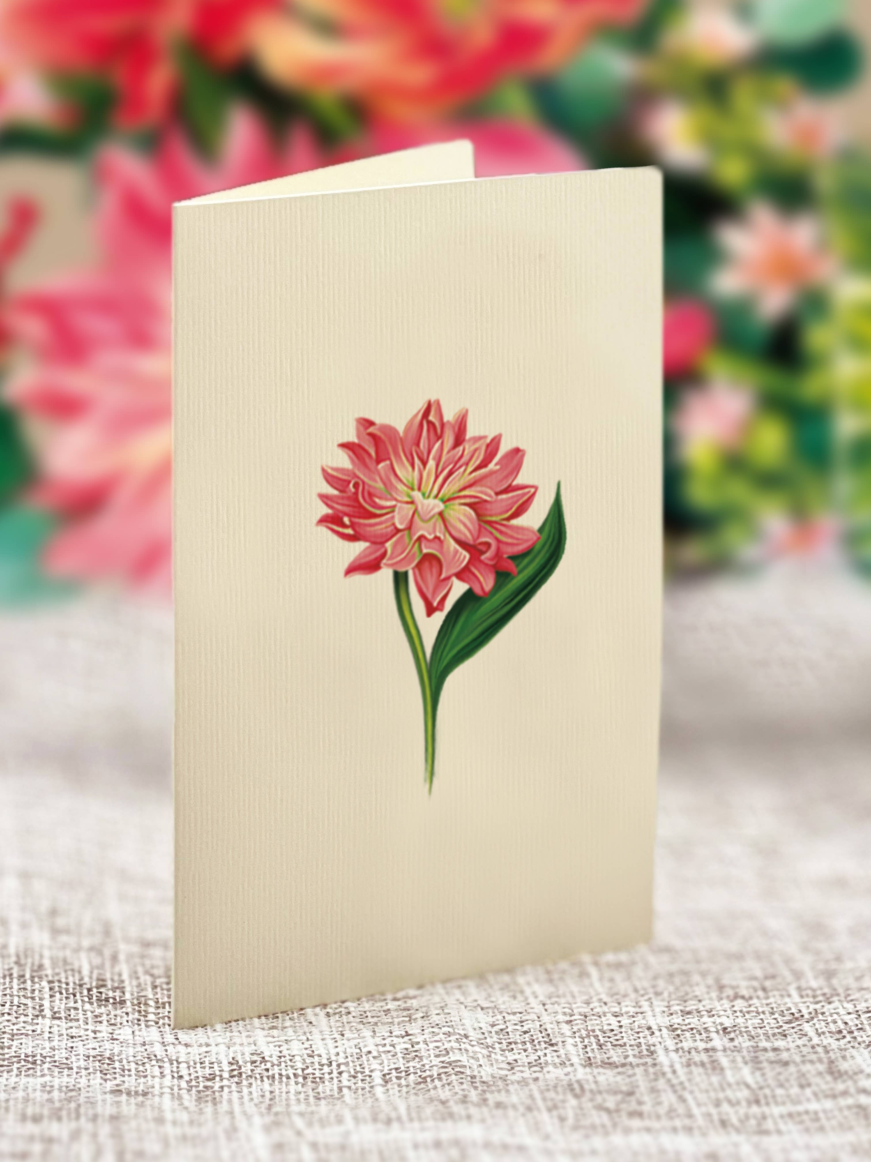 FreshCut Paper LLC - Vendita all'ingrosso Biglietti di auguri generici - Mini Dear Dahlia (10 biglietti di auguri pop-up)5