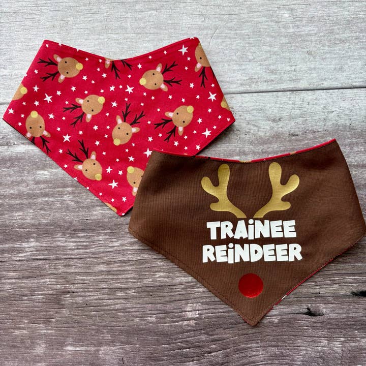 CHRISTMAS | Bandana | Trainee Reindeer for wholesale by Baxter's Boutique