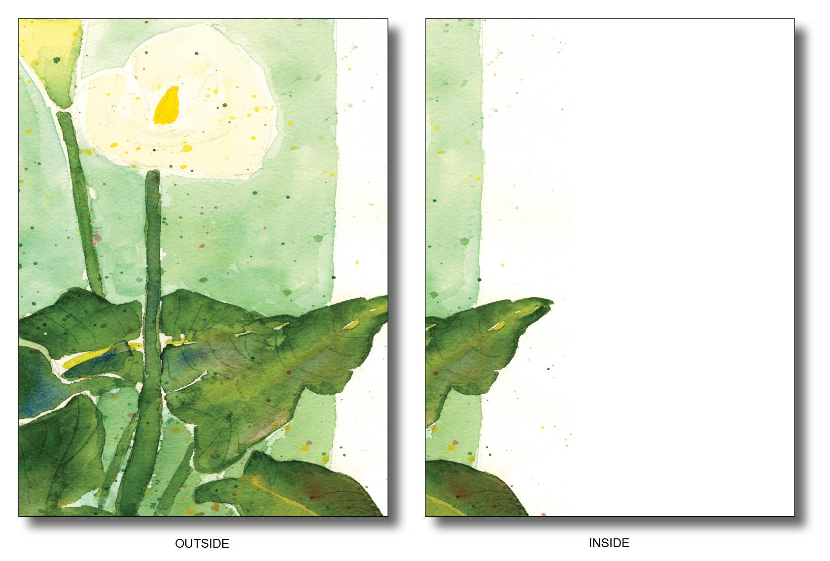 WORDS & WATERCOLORS BY PEG CONLEY - Vendita all'ingrosso Biglietti di auguri generici - Calla gigli1