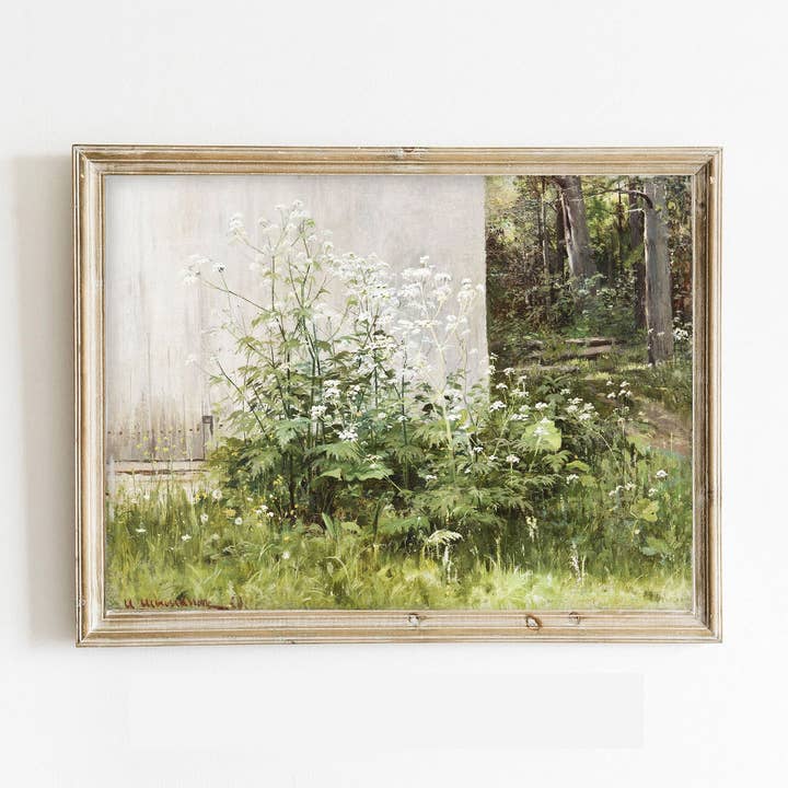 Vintage Wild Elder Flowers Art Print for wholesale by Paper House Print Shop