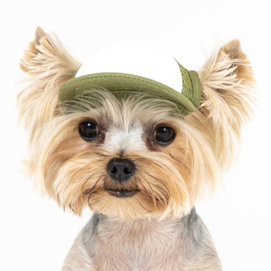 PupLid – wholesale Hatt - Hund – Blank Foam truckerkeps för hundar45