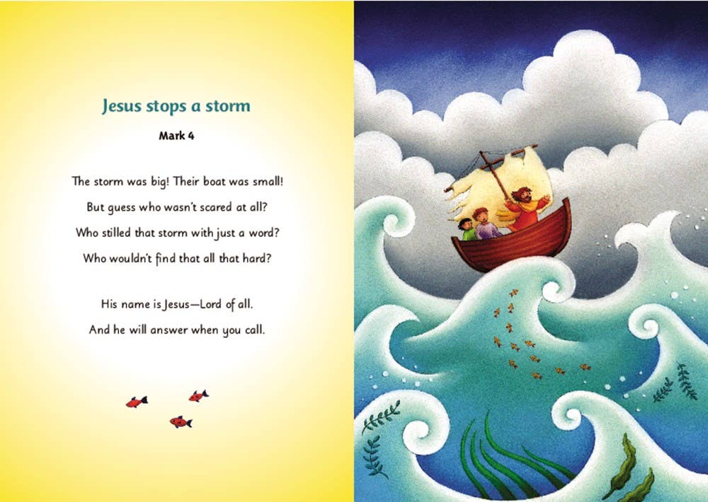 HarperCollins - Wholesale Baby & Toddler Book (0-2) - Baby’s Carry Along Bible: Sally Lloyd-Jones2