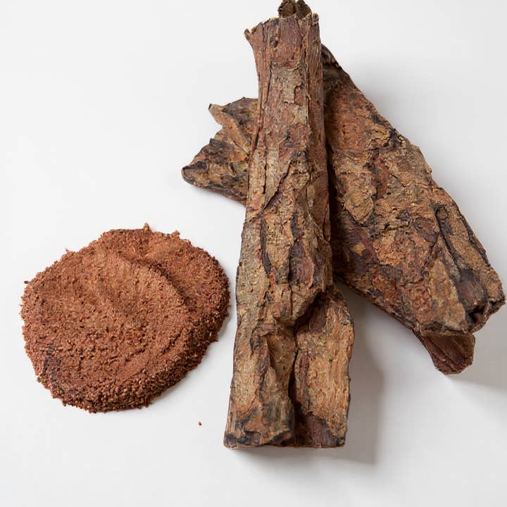 🌳 Caïlcédrat Bark Powder – Natural Purifying and Repairing Care for wholesale by ELITEA
