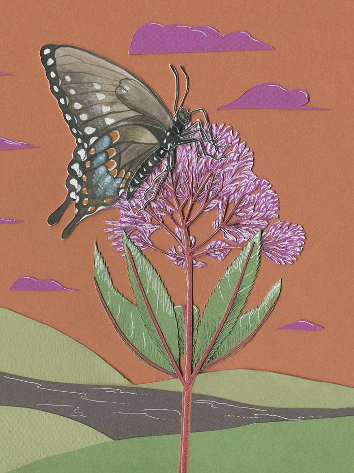 Biglietto di auguri bianco a forma di farfalla a coda di rondine, 12,7 x 14,5 cm per la vendita all'ingrosso da parte di Johanna Finnegan-Topitzer