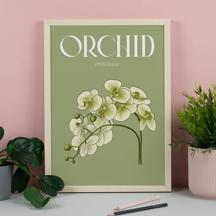Orchid Illustrated Floral Art Print for wholesale by Hayley Jade Design Studio