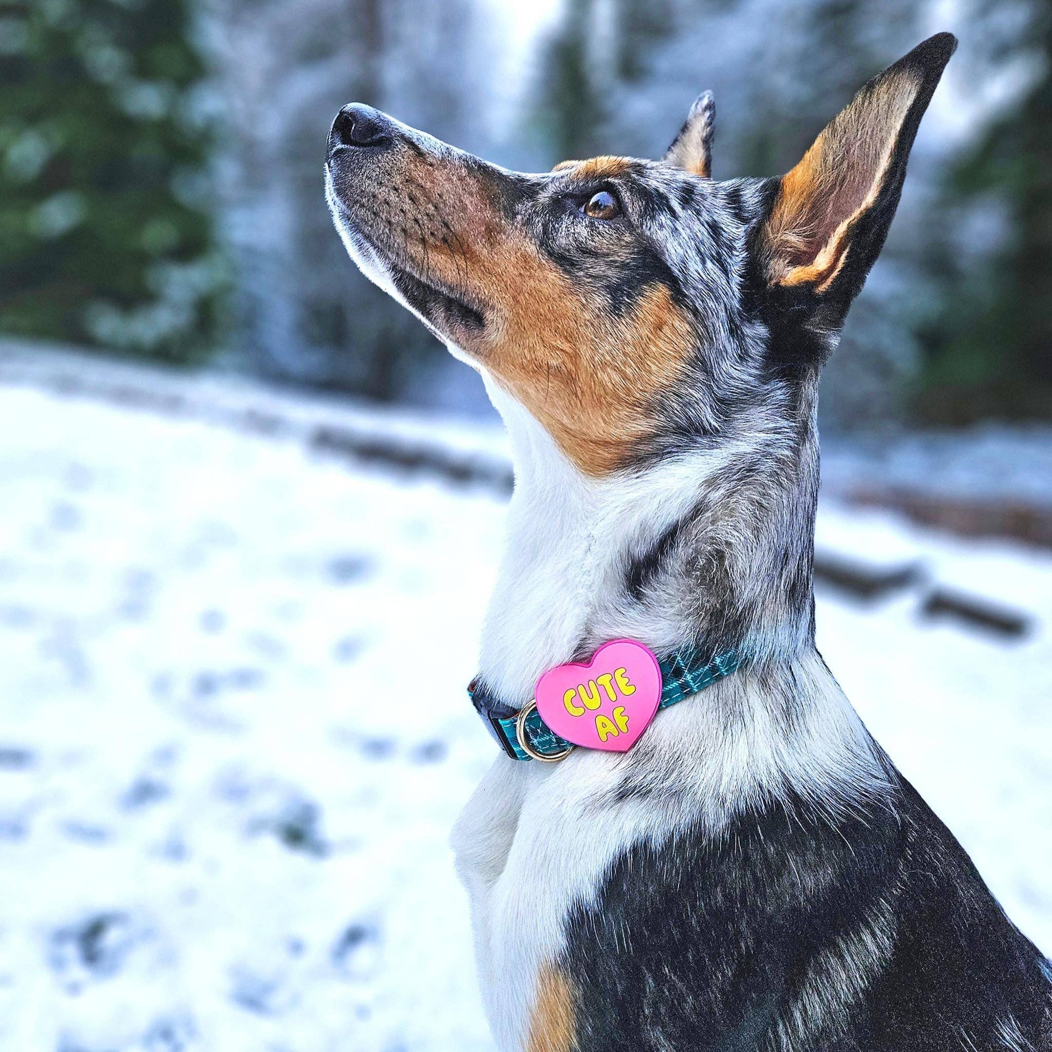 Cute AF Pink Jiby Dog Charm for wholesale on Faire4
