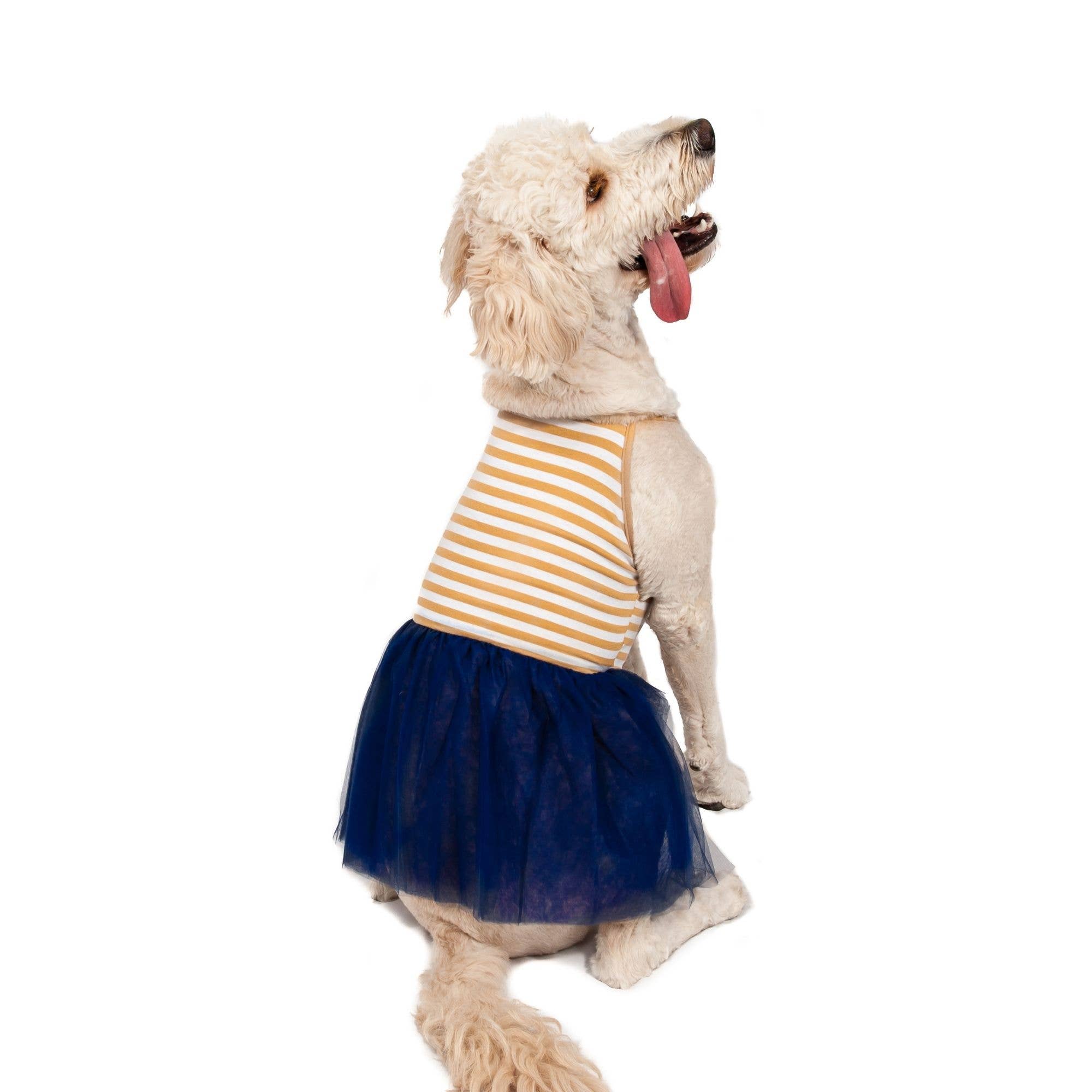 Midlee Designs – Engroshandel Kjole - Hund – Midlee Elegant Tan & Hvid Stripe Tutu Stor Hund Kjole4