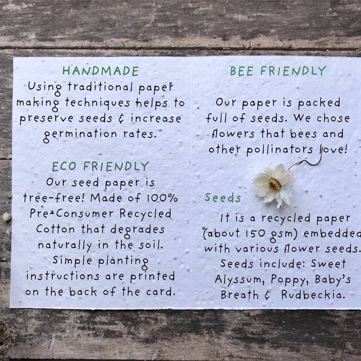 Erika's Whimsical Art – wholesale Birthday card – Plantable Seed Paper Birthday Moth Card, Blank Inside 8