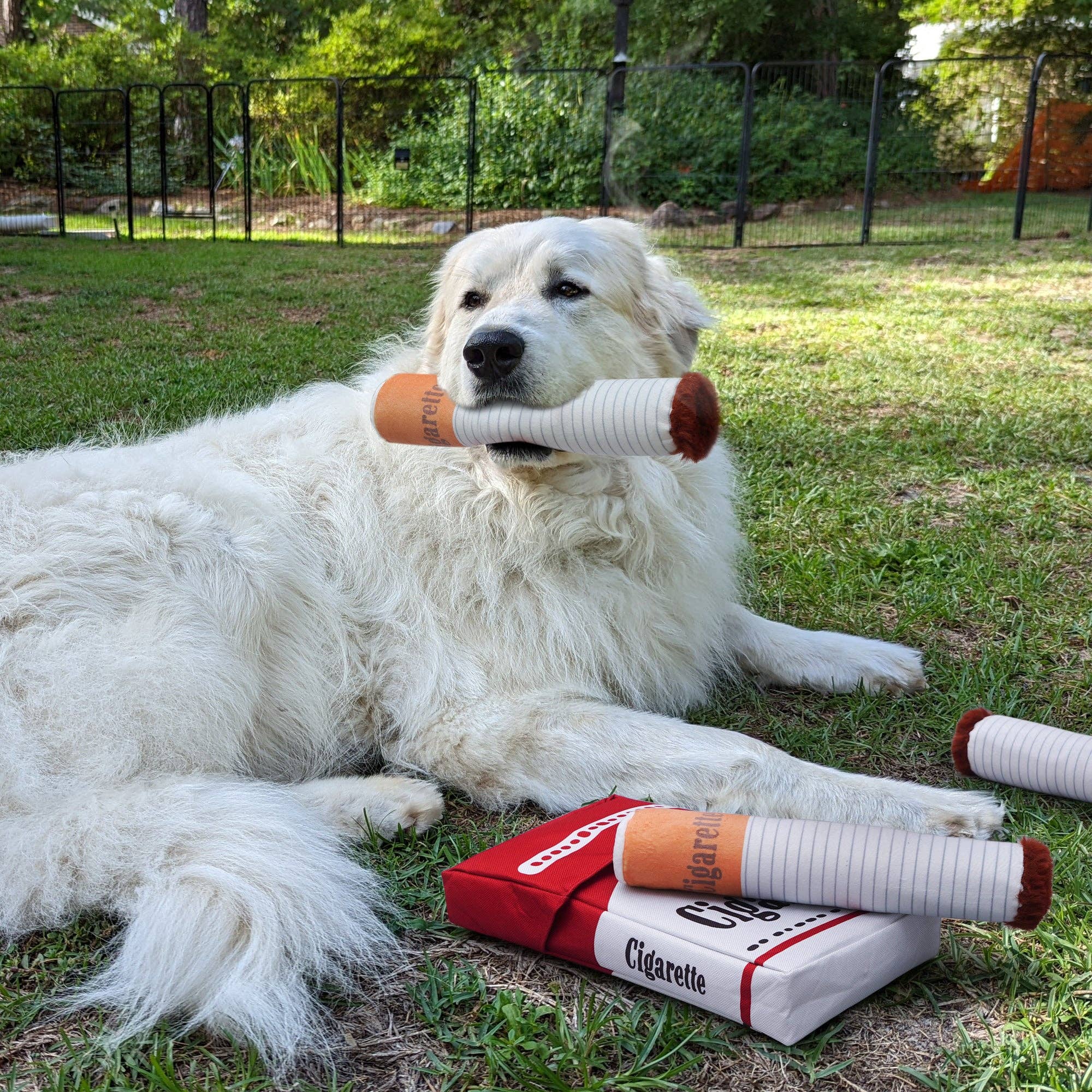 Nocciola - Wholesale Pet Plush Toy - Dog - Nocciola Big Giggle Puff Stick Toys with a Box2