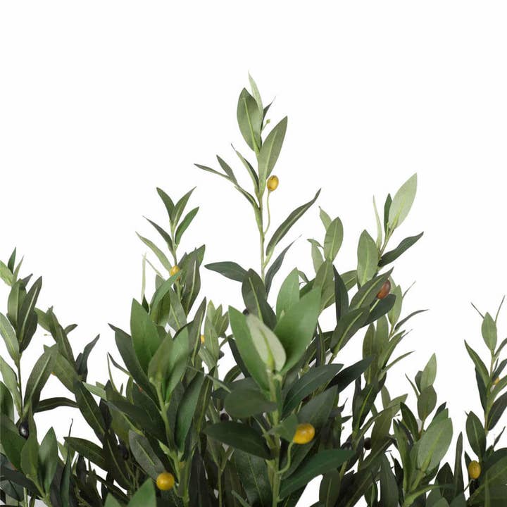 Designer Plants AU - Wholesale Artificial plant - Artificial Bushy Olive Tree with Olives 180cm1