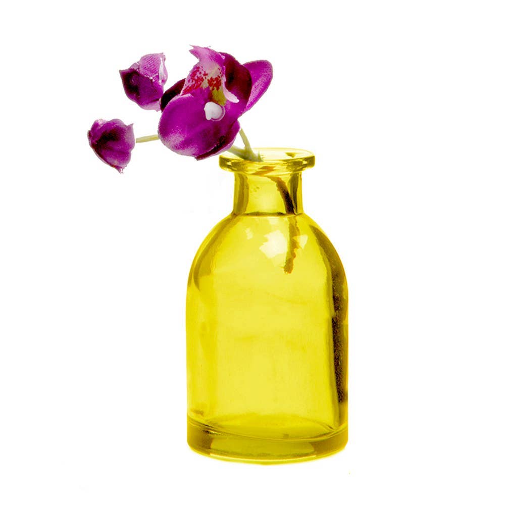 Chive UK - Wholesale Vase - Loft - Coloured Glass Apothecary Inspired Bud Vases24