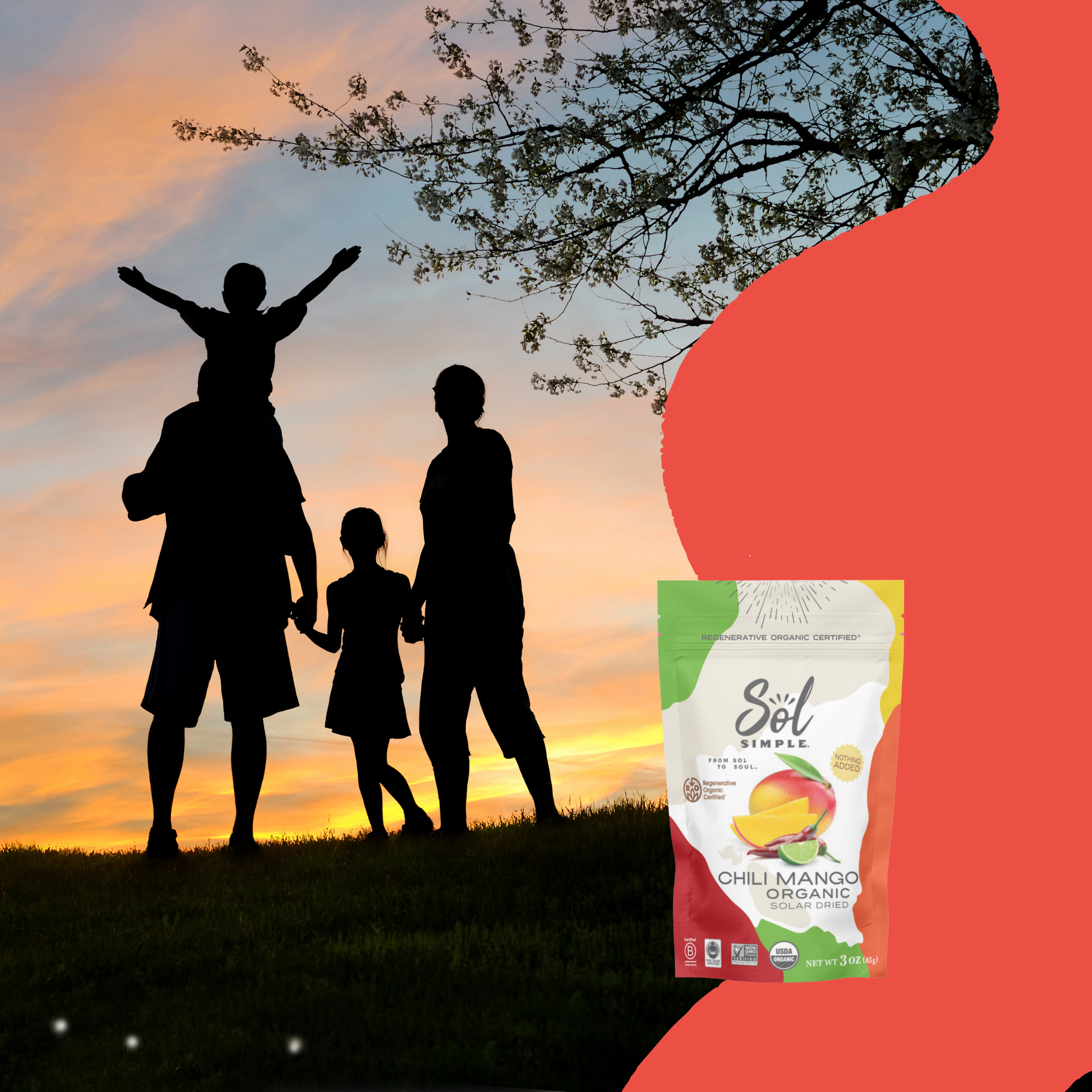 Sol Simple - Wholesale Dried/Dehydrated Fruit - Regenerative Organic Certified Solar Dried Chili Mango-3oz 7