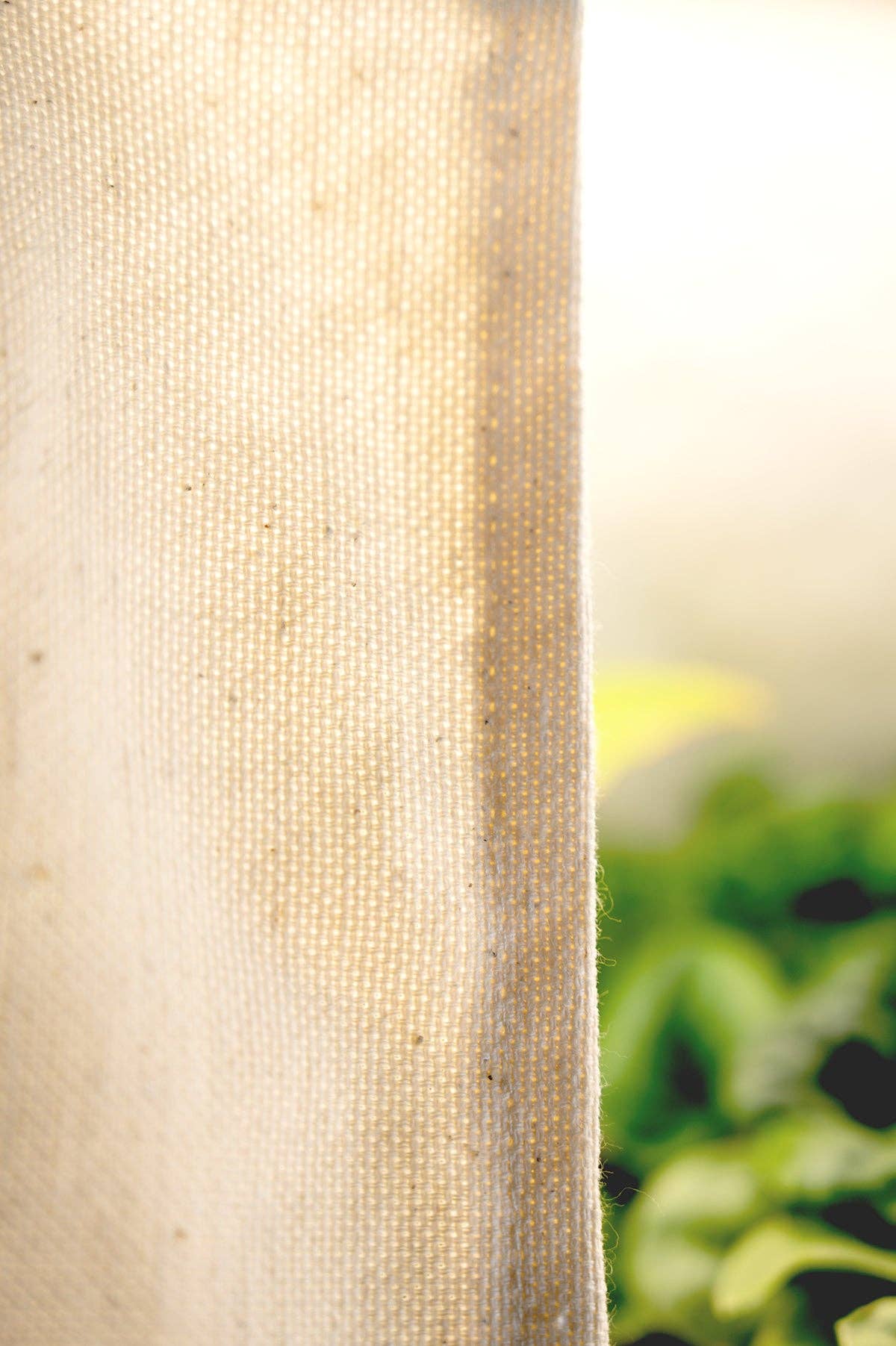 BerlinGreen - Venta al por mayor Macetas - Tiendas Greenbox para plantas con pantalla difusora de luz7