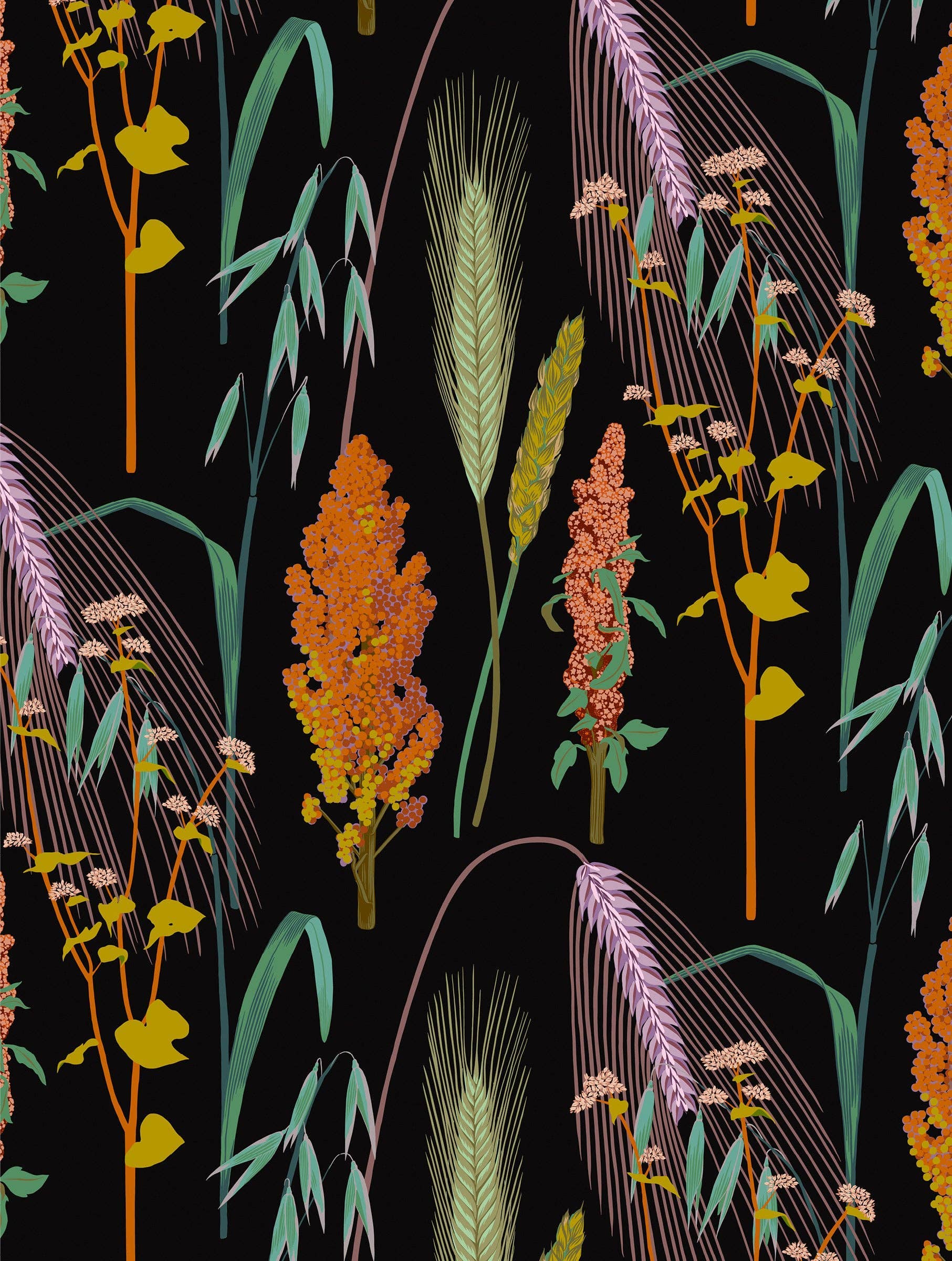 Pomegranate – wholesale Stationery/notecard set – Kate Blairstone Slipcase Boxed Notecards2