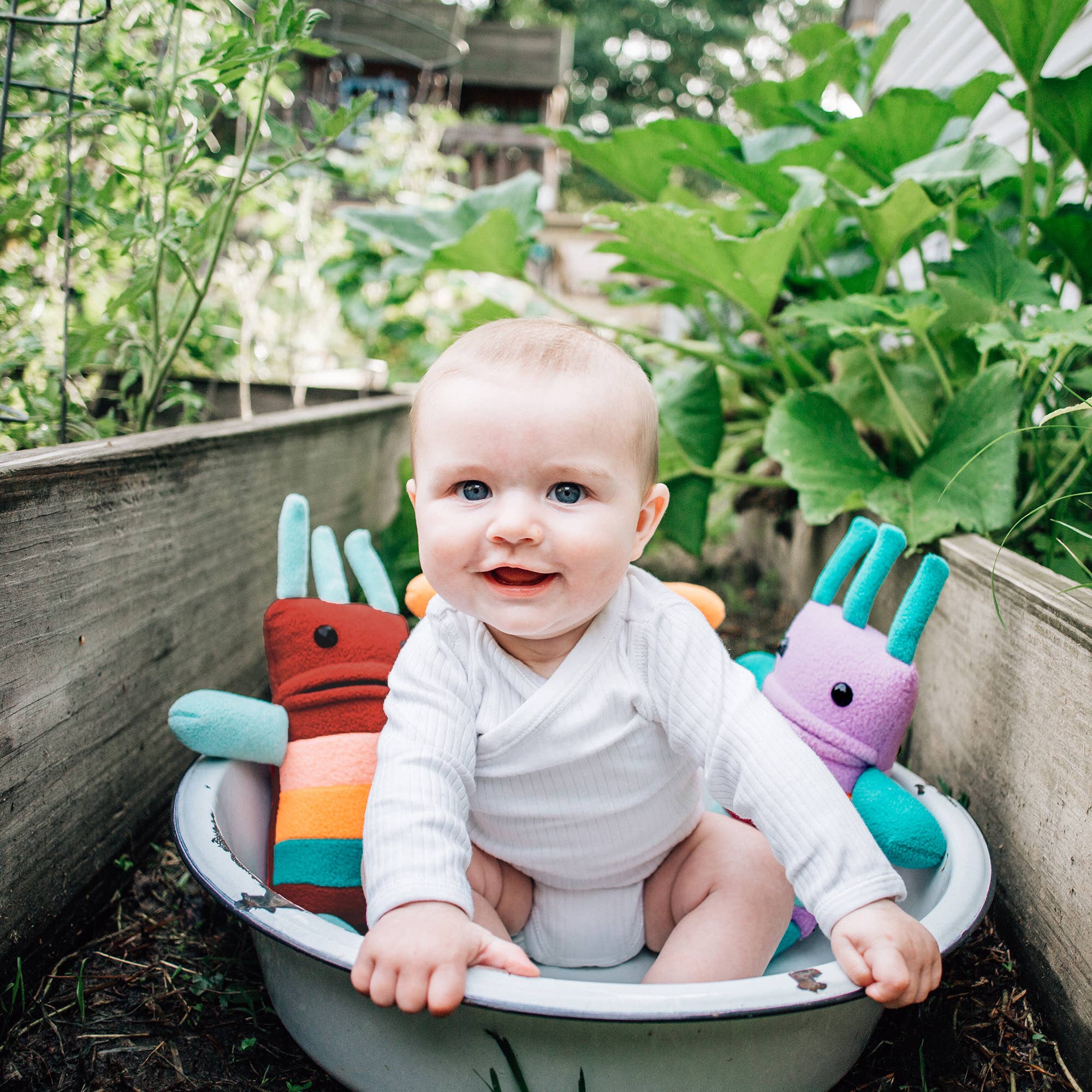 Mr. Sogs - Wholesale Stuffed/Plush Toy - Kids & Baby - Mini Creature Stuffed Toy2