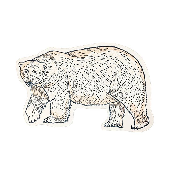 Polar Bear Postcard for wholesale by Noteworthy Paper & Press