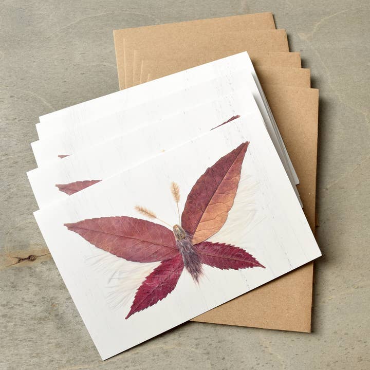 Lot de 5 cartes de vœux vierges pressées contre la teigne des plantes 4 x 6 po pour la vente par HBee Art