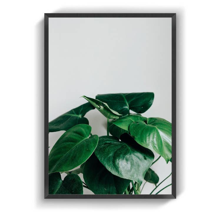 COVERAGE for wholesale by IMotive