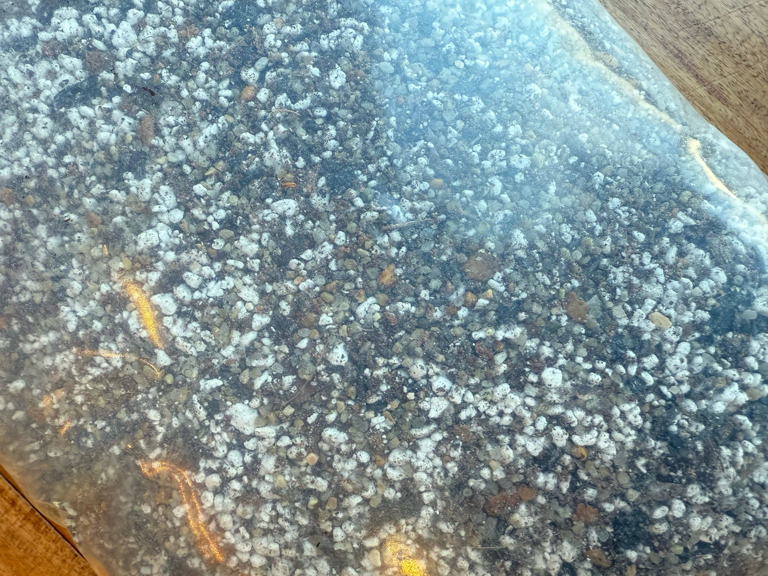 The Propagation Jar - Vendita all'ingrosso Terriccio per piante/vasi - Mix del Deserto di Emma2