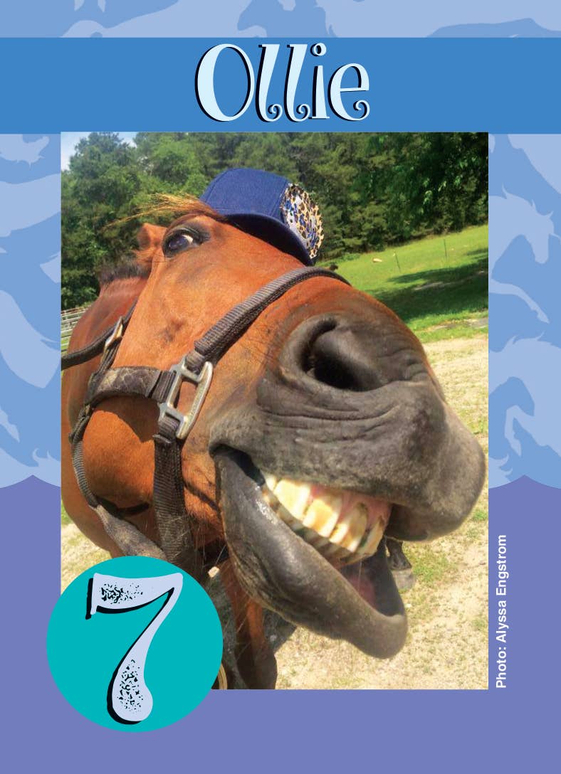 Horse Hollow Press | Pretty Snarky Equestrian Cards|Stickers - Wholesale Card Game - Fun Horse Go Graze Card Game for Kids & Families –Gift Ready14