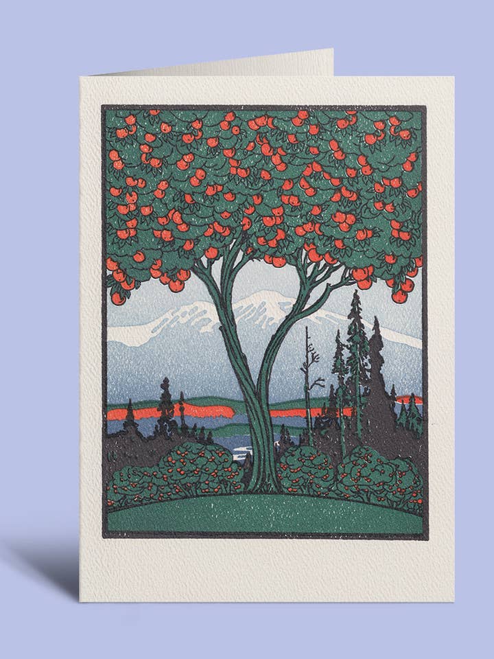 Orange Tree for wholesale by Saturn Press