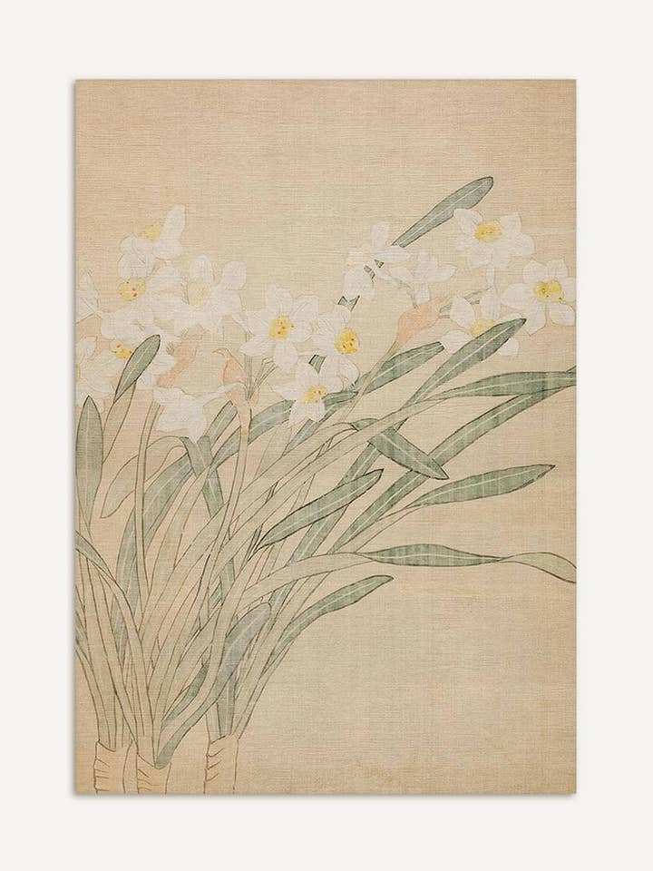 Stampa d'arte botanica di narcisi per la vendita all'ingrosso da parte di Modern Antique Prints