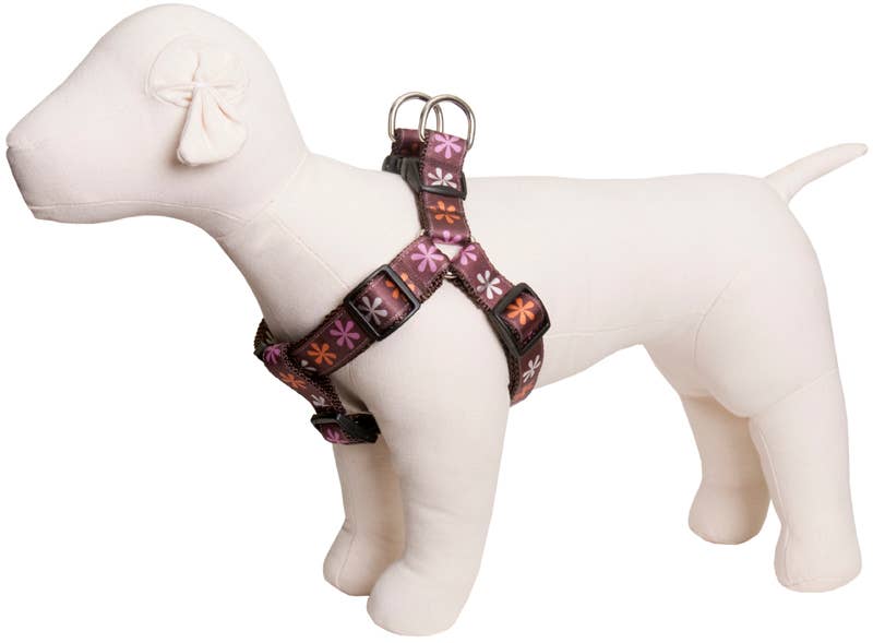 Paw Paws USA - Wholesale Pet Harness - Dog - Sorbet Dog Harness1