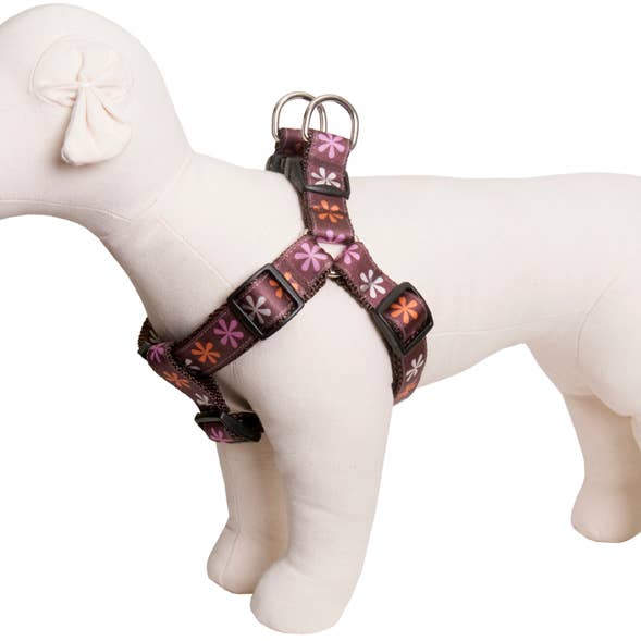 Paw Paws USA - Wholesale Pet Harness - Dog - Sorbet Dog Harness1