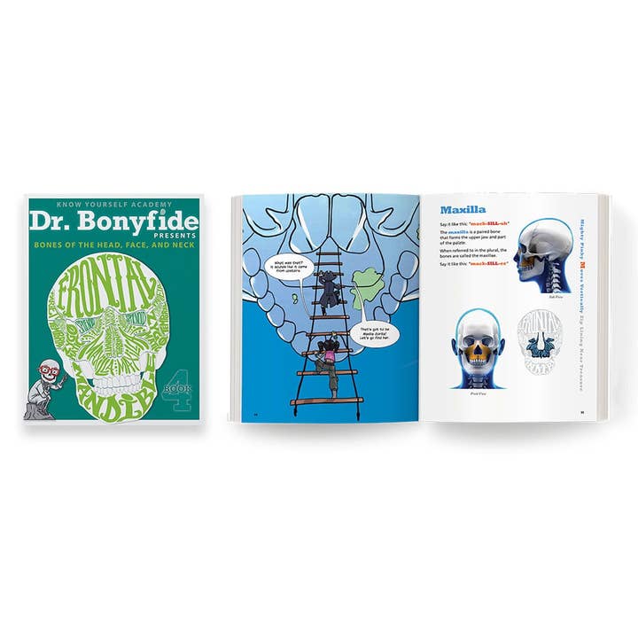 Know Yourself - Wholesale Baby & Toddler Book (0-2) - 206 Bones of the Human Body Bonus Bundle2