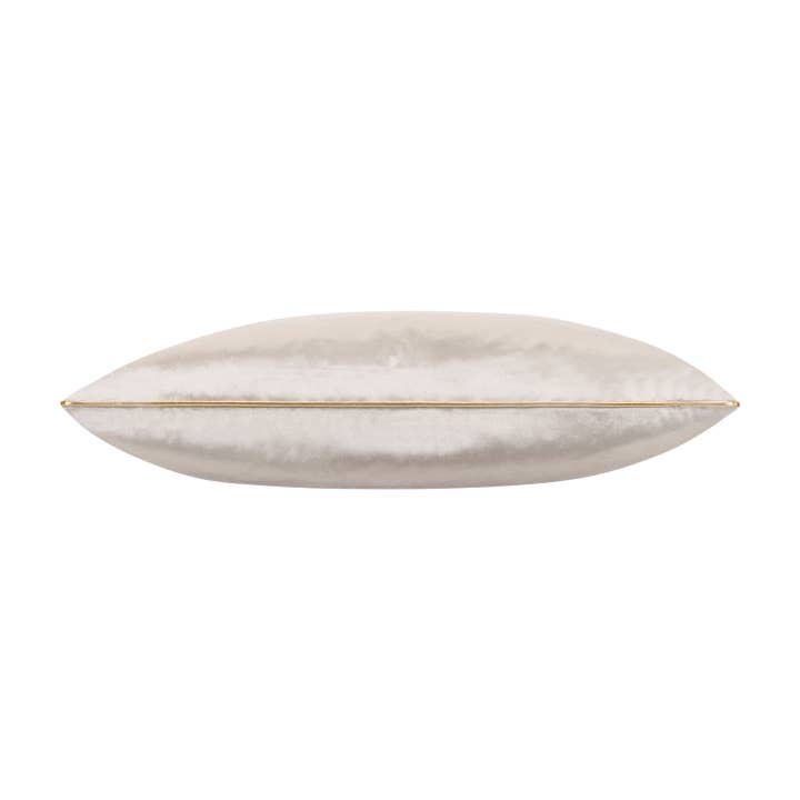 Cloud 9 Design - Venta al por mayor Cojín decorativo - Almohada de terciopelo gris Noah con ribete dorado.