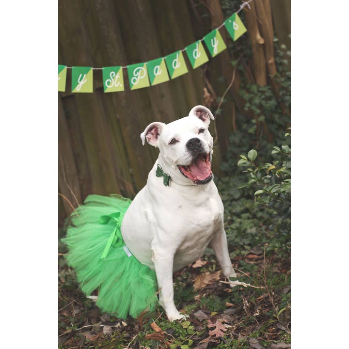 Green Dog Tutu Skirt | Dog Skirt For Christmas | Dog Dress for wholesale by Tutu Joli LLC