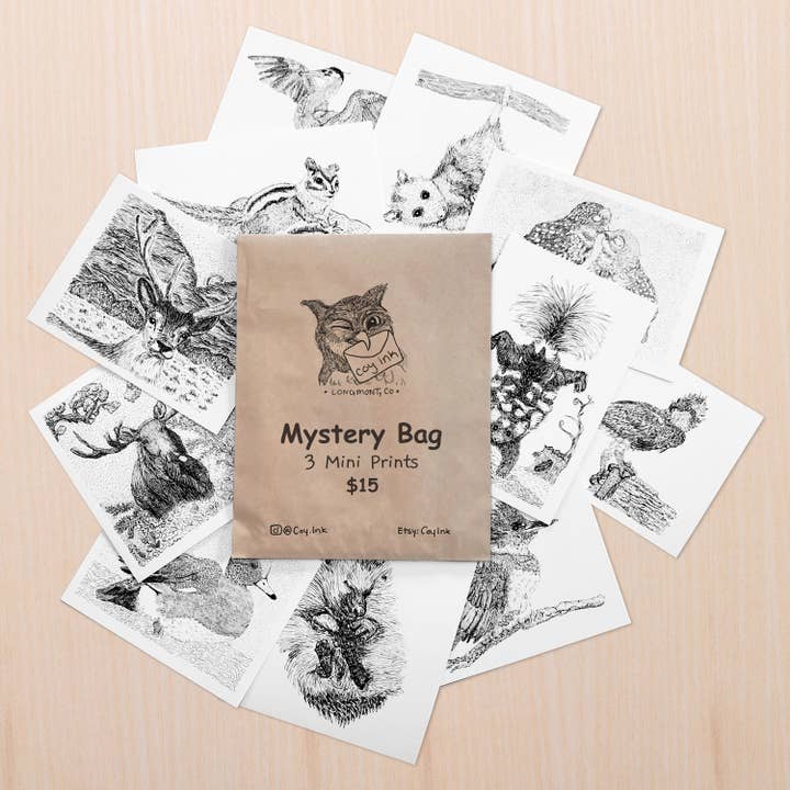 Mystery Bag Mini Prints for wholesale by Coy Ink Studio