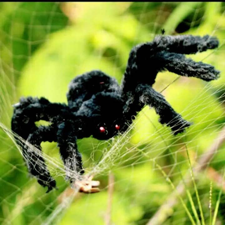 Kate Tuesday Jewelry - Wholesale Outdoor Ornament/Decor - 3 Sizes Spider Halloween Decoration