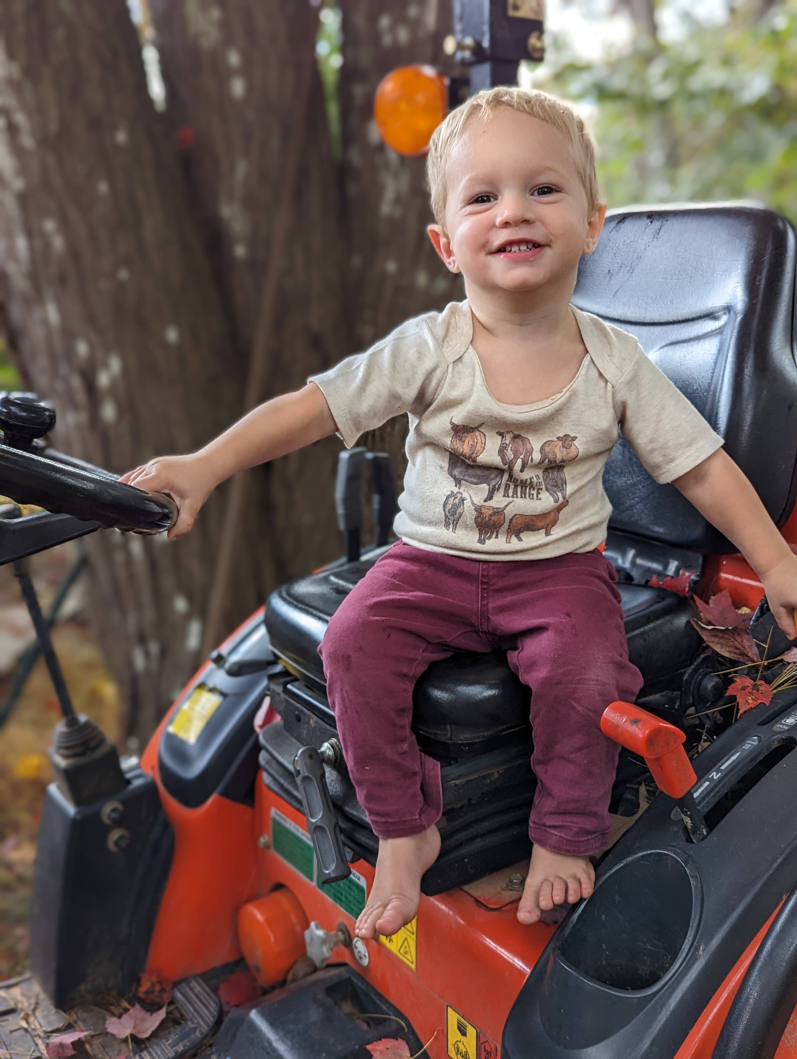 Barefoot Baby - Vente Body (sans pieds) – bébé - "Home on the Range" Vaches Campagne Western Été Ferme Bébé4