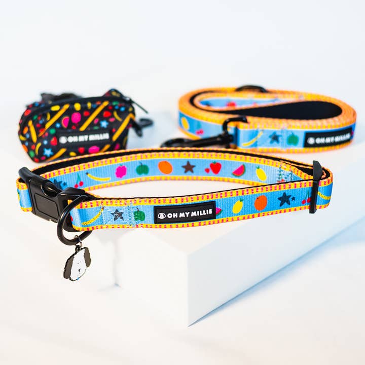 Dancing Fruits Leash, Collar, & Poop Bag Holder Set for wholesale by Oh My Millie