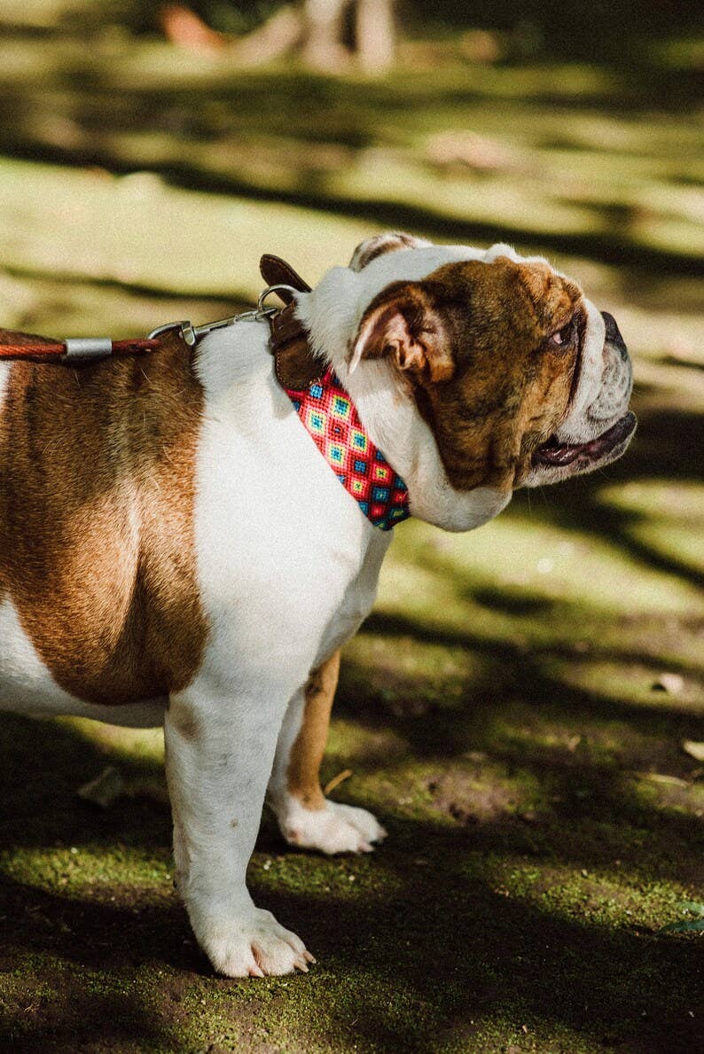 MyMexicanHome - Wholesale Halsband - Hond - L (42-49 cm) leren hondenhalsband met kleurrijk gebreid boho design5