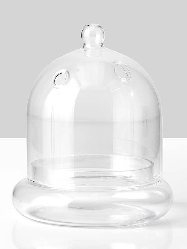 6in Glass Terrarium for wholesale by Jamali Garden