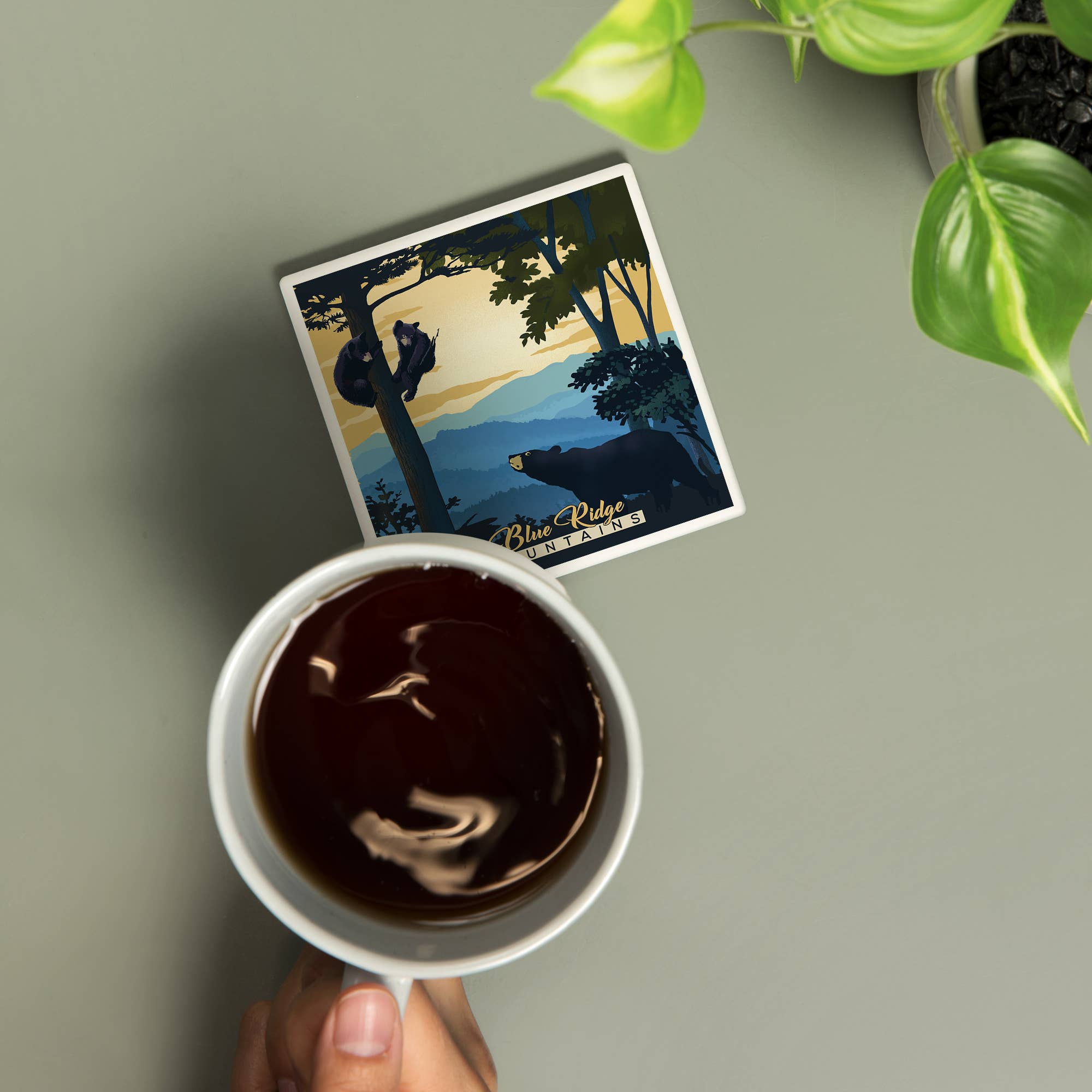 Lantern Press - Wholesale Coasters - CERAMIC COASTER Blue Ridge Mountains Black Bears Litho1