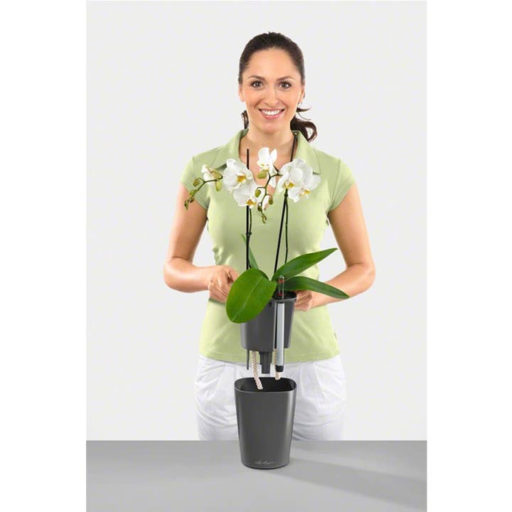 Lechuza Self Watering Planters – wholesale Plant pot – LECHUZA DELTINI & MINI-DELTINI Poly Resin Table Planter24