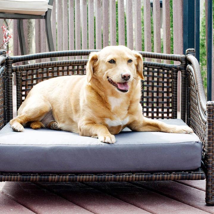 Maharaja Rattan Pet Bed for wholesale by Iconic Pet
