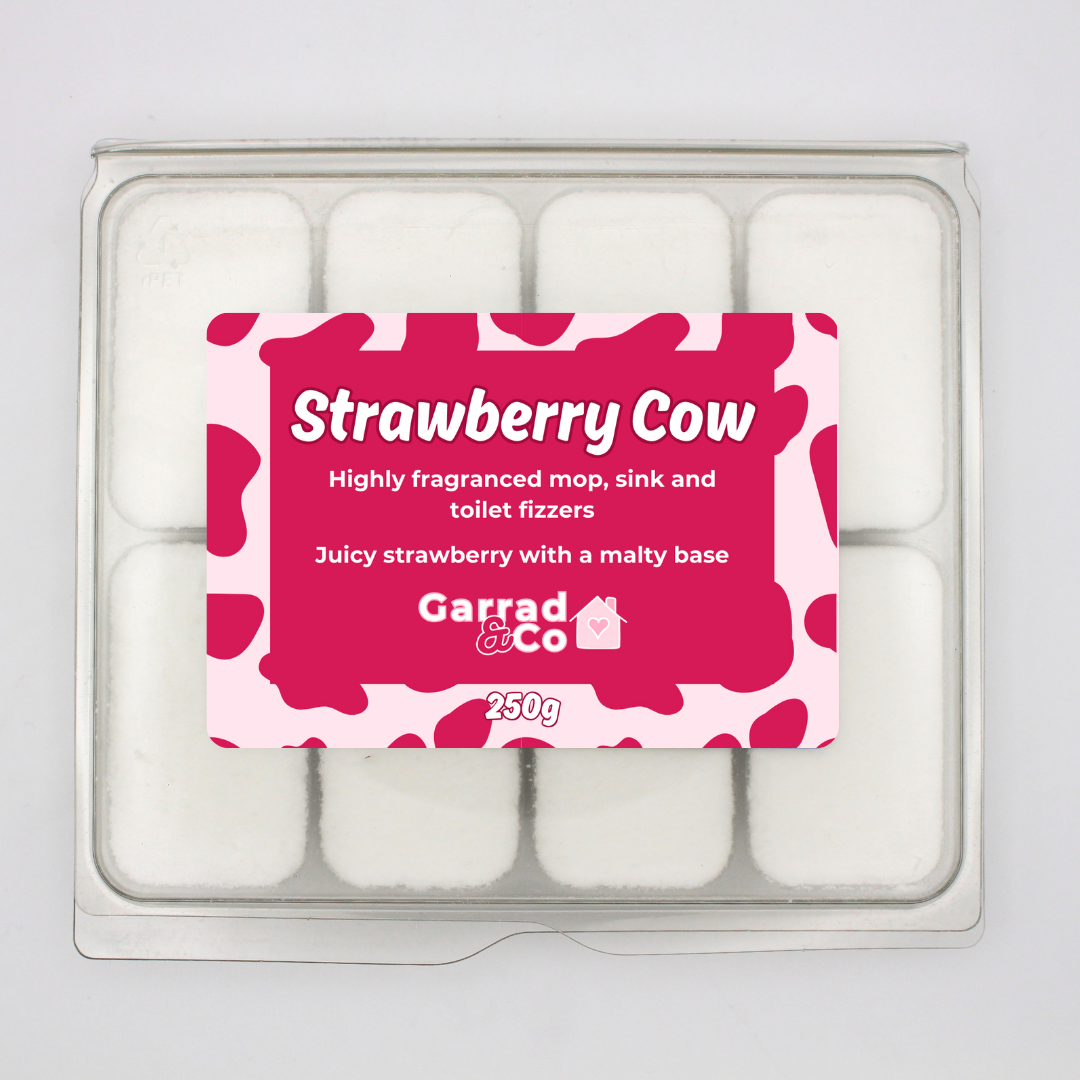 Garrad & Co - Wholesale Toilet Cleaner - Mop, sink and toilet fizzers3